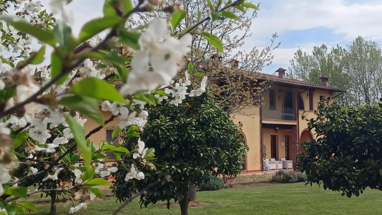 Il Chiassetto Agriturismo No Kids Cascina Exterior foto